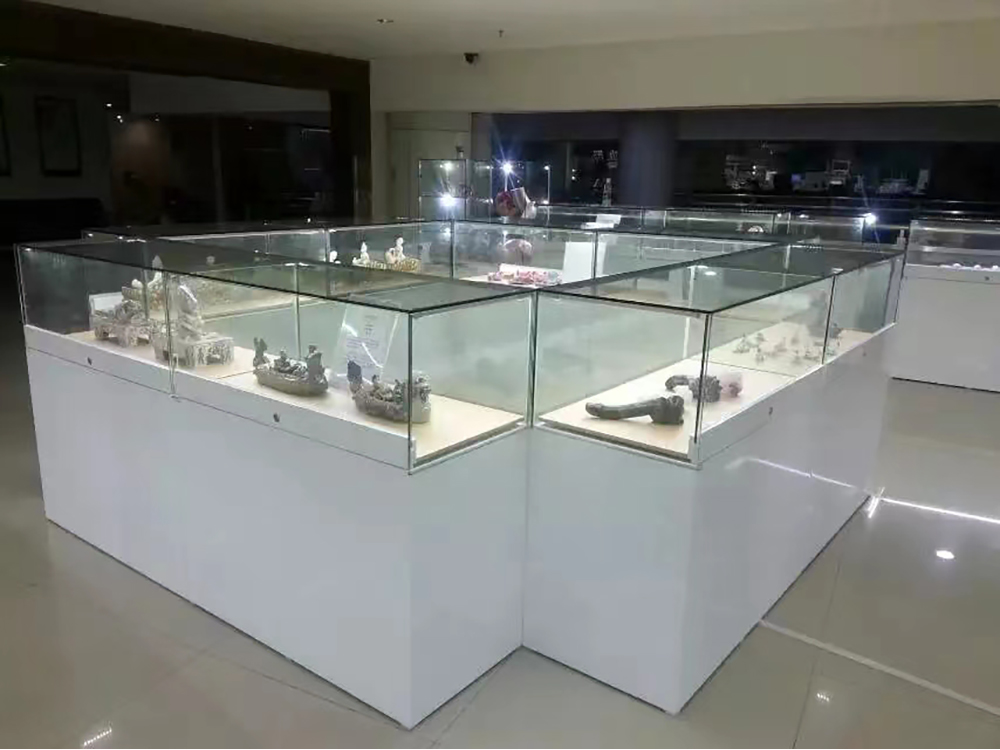 沙井万丰医院展厅 (5).jpg