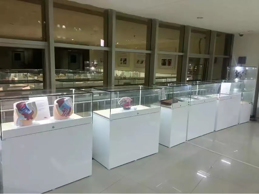 沙井万丰医院展厅 (6).jpg